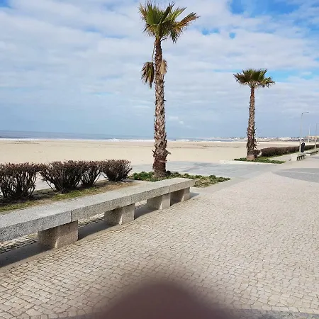 Palmeiras City Beach *